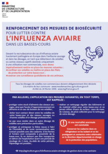 Lire la suite à propos de l’article INFLUENZA AVIAIRE