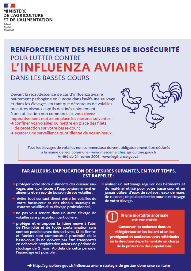 You are currently viewing INFLUENZA AVIAIRE